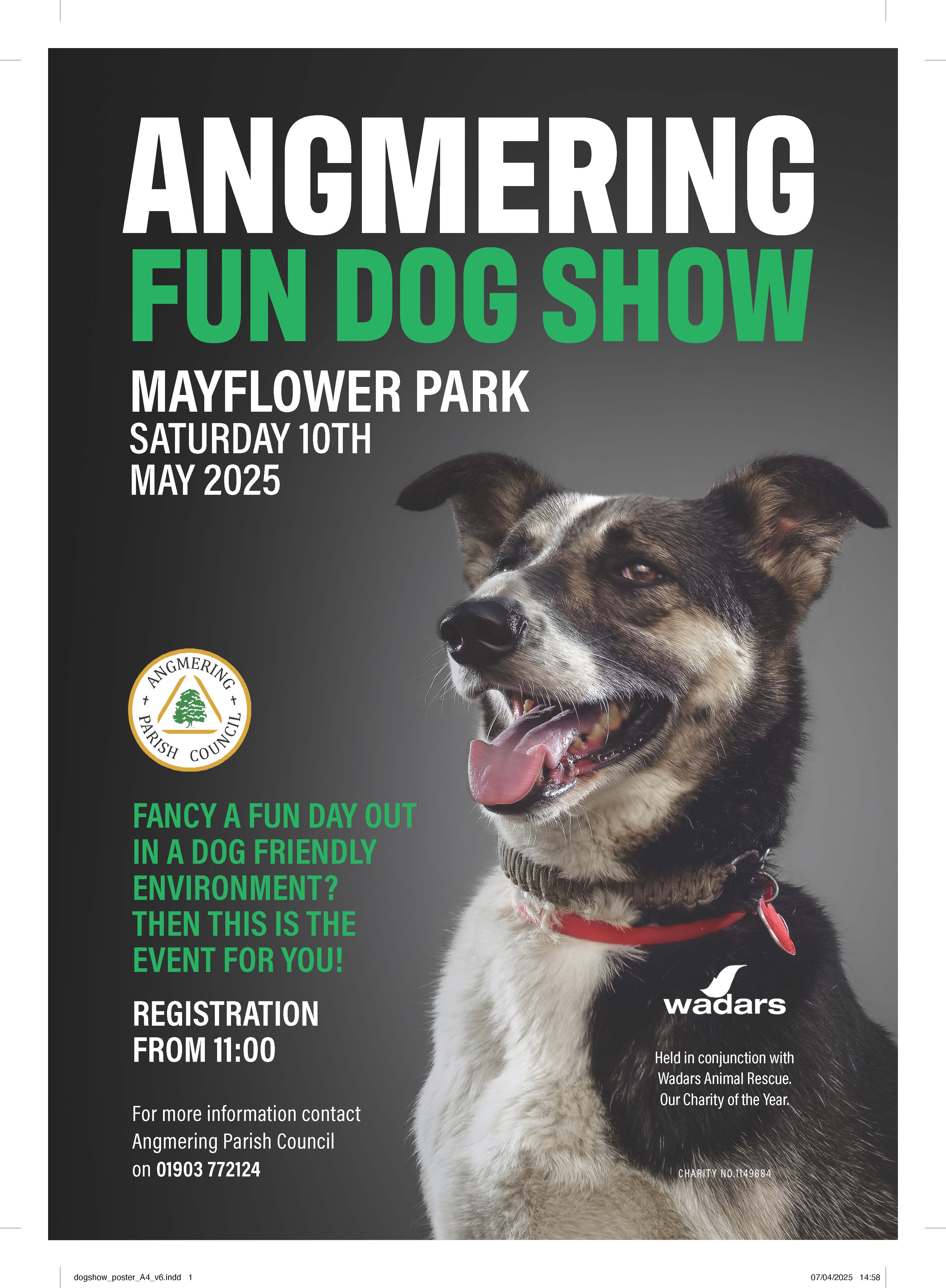 Dog Rescue Show Dogs For Sale Animal Rescue Places To See Dogs